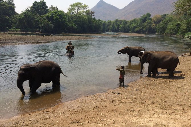 2 day 1 night Elephant World Kanchanaburi from Bangkok - Overnight Thai Cottage: Why Sleeping on Site Changes Day 2