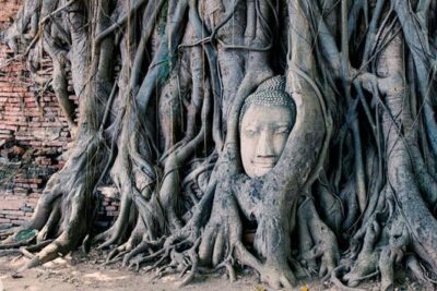 2 Day Private Car with Driver from Laem Chabang to Bangkok & Ayutthaya - Where You Sleep: Your Bangkok Hotel Is on You