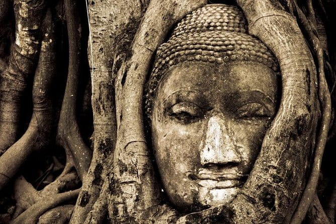 Ancient City & Temples of Ayutthaya ( UNESCO ) by River Cruise with Buffet Lunch - Wat Mahathat: the Buddha face in tree roots moment