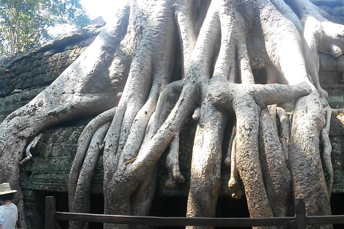Angkor Wat 3-Day Tour from Bangkok - Day 3: checkout, breakfast, and the return toward Bangkok
