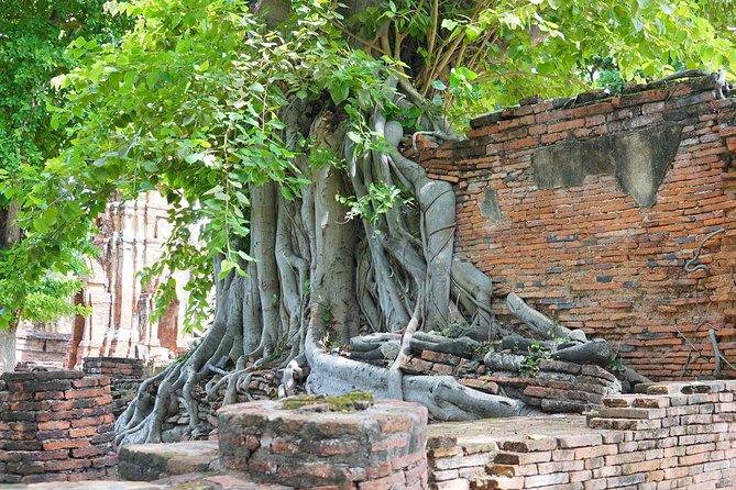 Ayutthaya Evening Tour with Dinner - Wat Chaiwatthanaram: River Views and a Royal Mother’s Tribute
