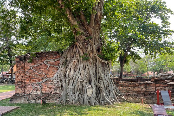 Ayutthaya Historical Old Capital day Tour from Bangkok - Lunch in the Market Area: Keep It Simple and Local