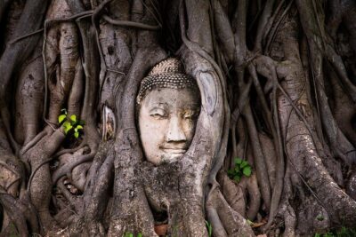 Bangkok Canal Tour by long tail boat, Wat Arun and Wat Pho - The hotel pickup window and how to plan your morning