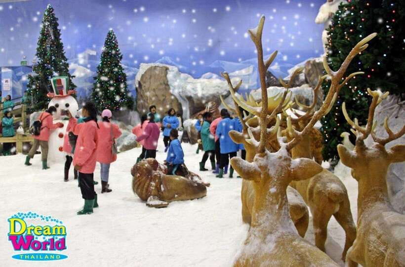 Bangkok: Dream World Unlimited Ride Ticket with Lunch - Snow Town at -8°C: What to Wear and How to Enjoy It