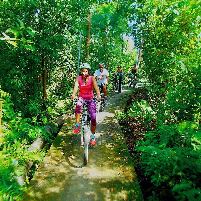 Bangkok green oasis guided bike tour with boat ride - The Big Green Park Break: Shade, Calm, and Fish Feeding