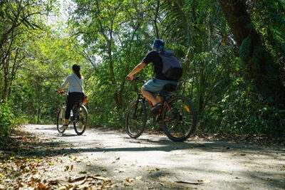 Bangkok Green Oasis Nature Bike Tour - Meeting point near Klong Toei Pier (and why it matters)
