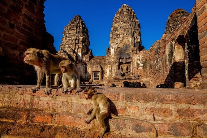 Bangkok to Ayutthaya Lopburi Monkey Temple, Largest Buddha Tour - Key highlights you’ll feel right away