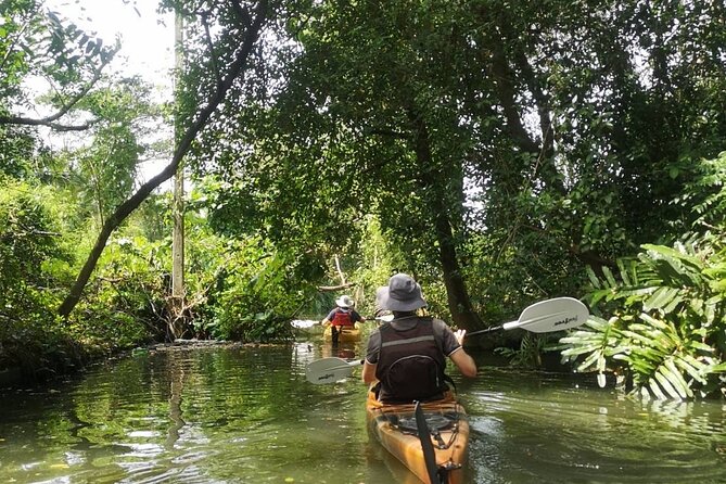 Bangkok Tour by Boat and Bike - Lunch at a local restaurant: a true reset, not just fuel