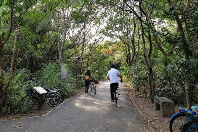 Bangkok's Green Lung Jungle Cycling Adventure Tour - Khlong Toei Market: Fast Taste of Local Life