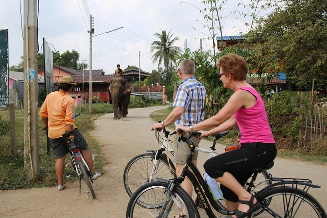 Colors of Ayutthaya Full-Day Bike Tour - The Historic City of Ayutthaya: UNESCO ruins on a three-river island