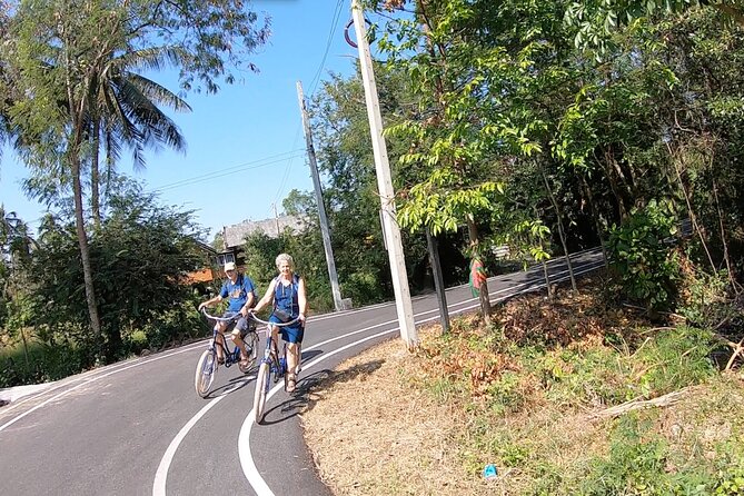 Colors of Bangkok Private tour - Bang Krachao in real life: 2 hours of narrow roads and wildlife breaks