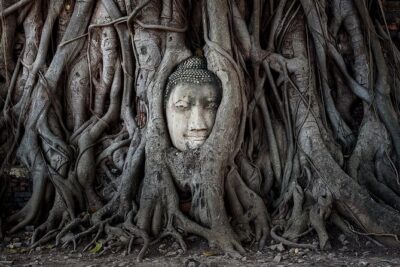 Discover Ayutthaya at Sunset: Historic Temples & River Cruise - Wat Chaiwatthanaram and the River Timing: Golden Hour Done Right