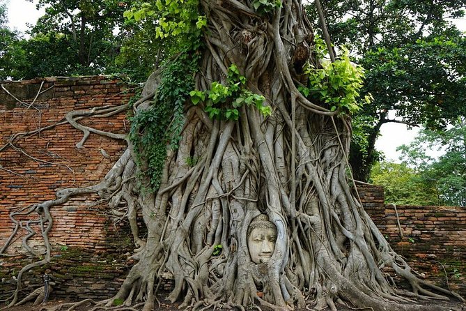Discover UNESCO World Heritage Sites - Ayutthaya to Khao Yai National Park - Ayutthaya Morning at Wat Yai Chaya Mongkol: The Reclining Buddha Moment