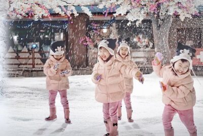 Dream World & Snow Town in Bangkok with Return Transfer & Lunch - Hotel pickup and transfers: how to protect your park time