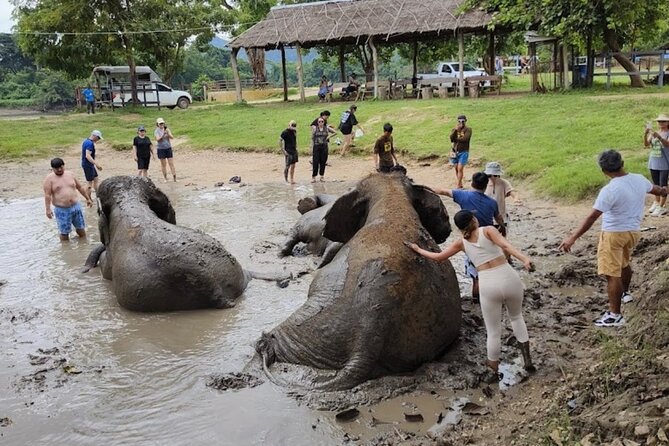 Erawan Waterfall and Elephant care from Bangkok -Private Tour - Erawan Waterfall: 7 levels, emerald ponds, and the dry-season reality