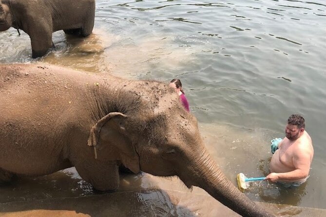Erawan Waterfall and Elephant care from Bangkok -Private Tour - Price and value: why $203.28 can make sense (or not)