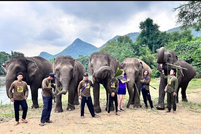 Erawan Waterfall and Elephant care from Bangkok -Private Tour - Who should book this day trip (and who should think twice)