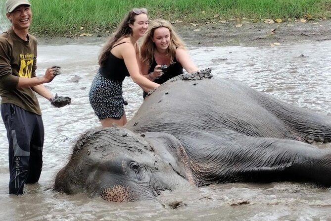 Erawan Waterfall and Elephant care from Bangkok -Private Tour - Should you book this Erawan + elephant private tour?