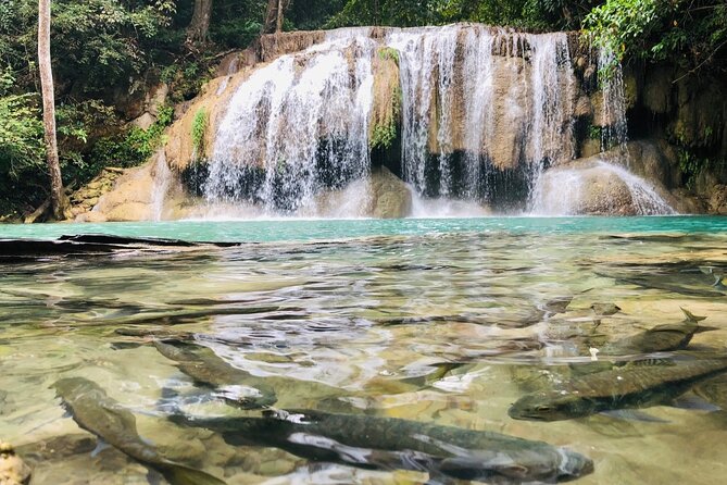 Erawan Waterfall and River Kwai Bridge Day Tour from Bangkok - Private transport from Bangkok: how this day stays comfortable