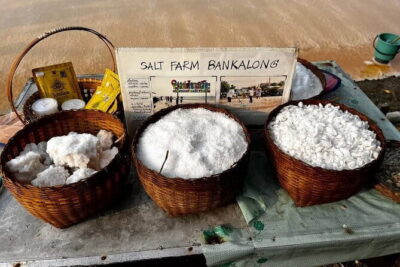 Floating and Railway Markets with Kwan Damnoen Restuarant - Stop 1: Samut Sakhon salt fields and the quick lesson behind the scenery