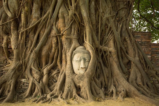 From Bangkok: Ayutthaya Temples Small Group Tour with Lunch - Why the Guide Makes the Difference at Ayutthaya