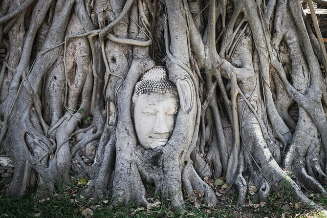 From Bangkok: Ayutthaya UNESCO Heritage Park and Temples Tour - Who should book this Ayutthaya UNESCO and temples tour?