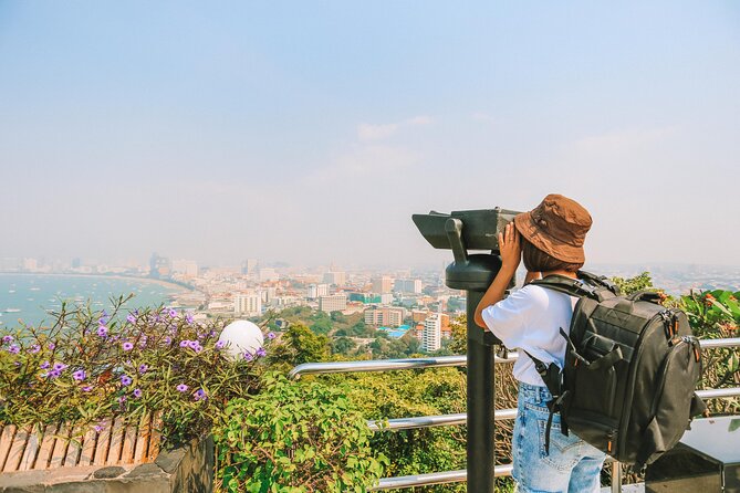 From Bangkok: Full Day Customizable Private Tour to Pattaya City - Mini Siam: the fast, fun way to see famous landmarks