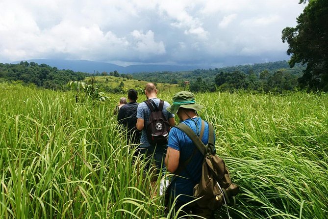 Haew Suwat Waterfall-Jungle Hiking to KM 33 Nong Pak Chi - Hotel pickup zones: where the day begins smoothly