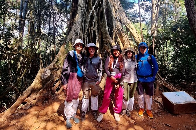 Haew Suwat Waterfall-Jungle Hiking to KM 33 Nong Pak Chi - Nong Pak Chi tower hike to KM 33: the part people will remember