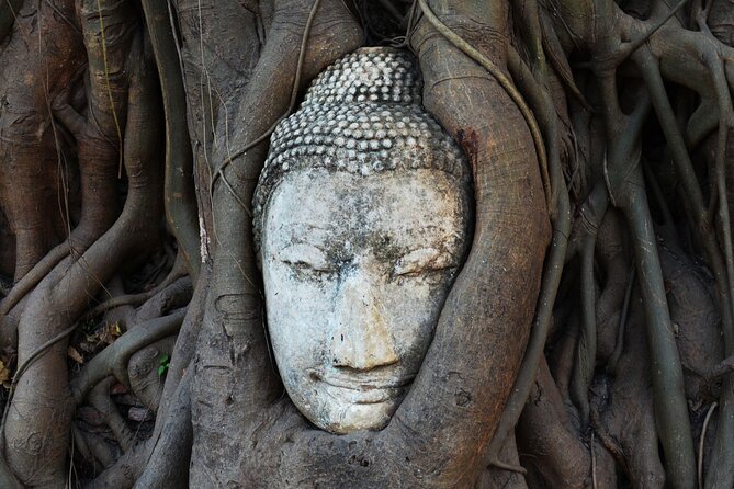 Highlights of Bangkok and Ayutthaya (World Heritage site) in 1 day - The long drive to Ayutthaya: what to expect from the UNESCO stop