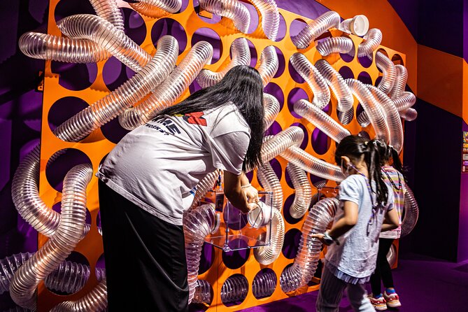 Interactive Amusement and Science theme park for all Ages - Key WOW Park Takeaways