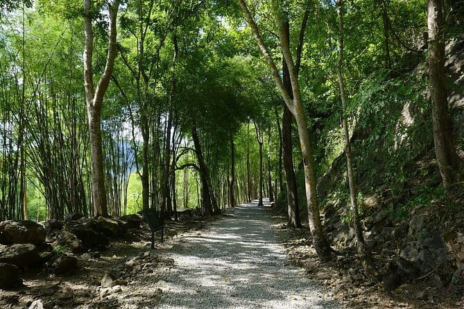 Kanchanaburi World War 2 Private Charter Pathway of the Past Tour - Stop 1: Kanchanaburi War Cemetery and the moment to slow down