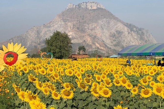 Khao Yai national Park day tour from Bangkok - Entrance Fees, Added Costs, and What You Might Pay On Top