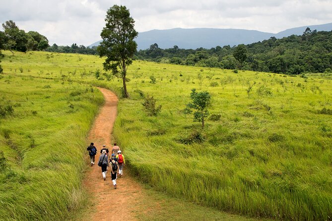 Khao Yai National Park Full Day - The Khao Yai day trip that actually feels like the forest
