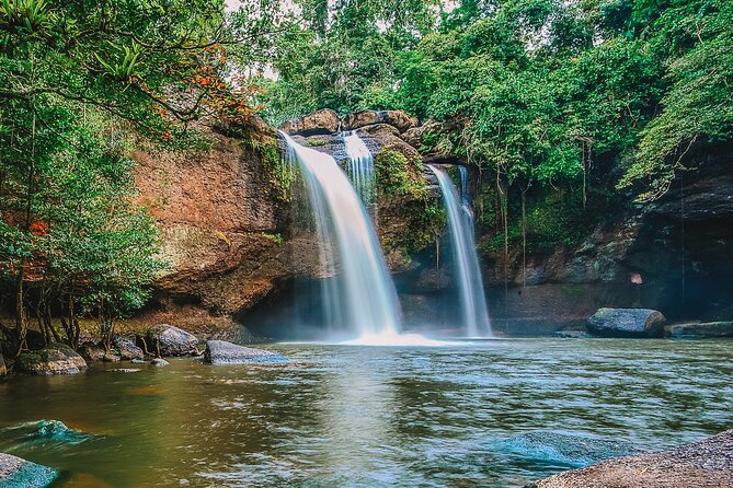Khao Yai National Park Full Day - Wildlife chances: elephants, gibbons, macaques, and what you might actually notice