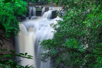 Khao Yai National Park Full-Day From Bangkok - Including Ticket - Khao Yai National Park Walk: How the Day Actually Happens