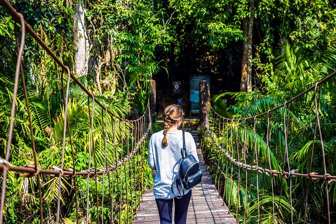 Khao Yai National Park Full Day Tour from Bangkok - Key highlights if you like nature with a plan