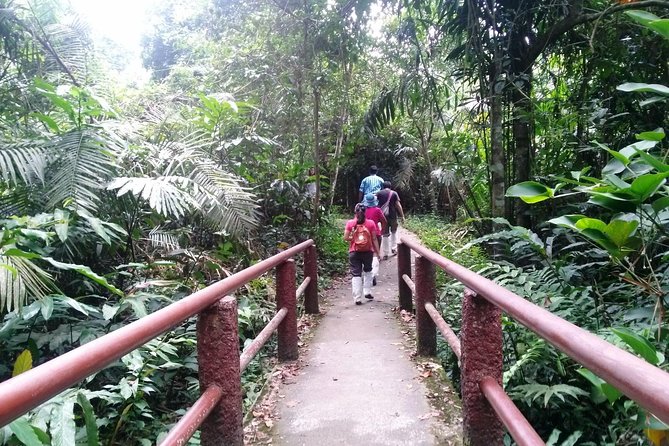 Khao Yai National Park Hiking Day Tour: Haew Narok and Haew Suwat - Visitor Centre + Thanarat Road at KM 30: Understanding Khao Yai Beyond the Falls