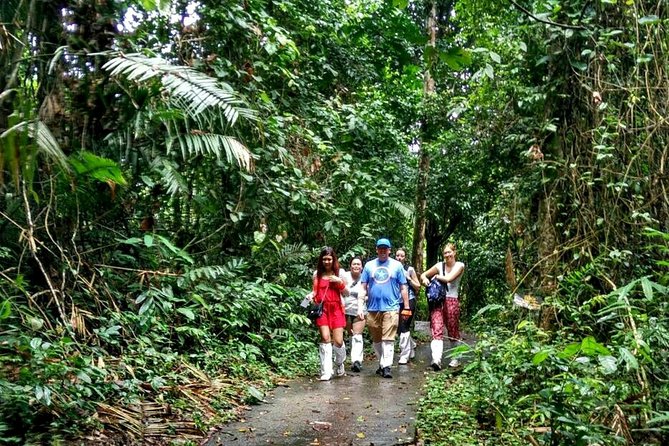 Khao Yai National Park Hiking Day Tour: Haew Narok and Haew Suwat - Tips to Have a Better Haew Narok and Haew Suwat Day