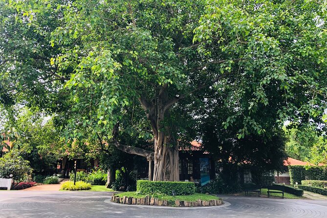 Khao Yai Private tour from Bangkok - Primo Piazza Khao Yai and The Bloom by TV Pool: Gardens and an Italy-Style Stroll