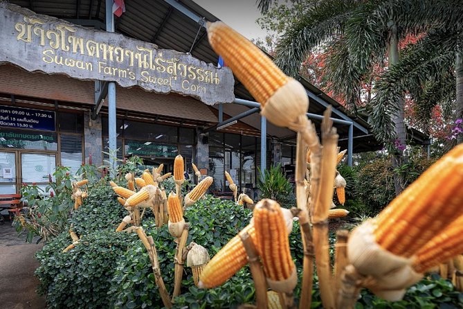 KhaoYai National Park 3D2N - Where this itinerary shines (and where it might not)