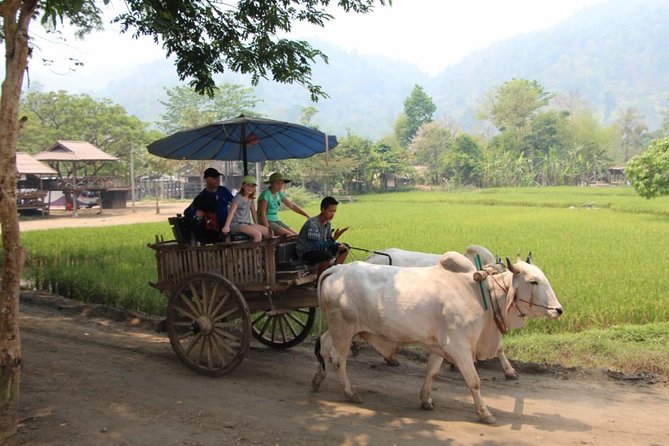 Nakhon Nayok adventure full day trip with lunch - Stop 3: Khun Dan Prakan Chon Dam as the day’s landmark break