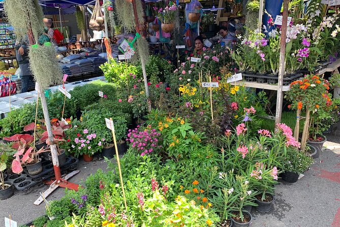 Private Exclusive Guided Chatuchak Weekend Market Shopping Tour - Price and Value: Is $90.25 a Fair Deal?