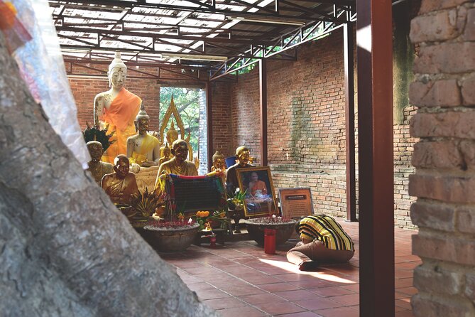 Private Excursion to Ayutthaya, World Heritage site and Ang-Thong Discovery - Ang Thong Province discovery: local food options and market culture