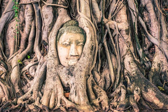 Private Tour: Ayutthaya Temples, Ruins and Lunch on River Cruise - The value of doing Ayutthaya in a private format