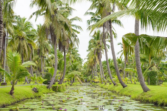 Private Tour: Floating Markets and Suan Sampran Day Trip from Bangkok - Lunch at the garden restaurant: a legit midday break
