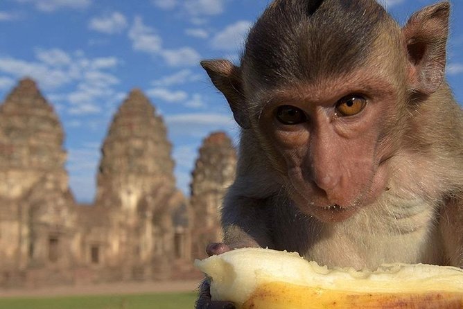 Private tour to Ayutthaya and Lopburi Monkey Temple (from Bangkok) - Lunch in the middle: the small break that saves your energy