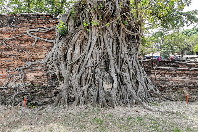Private tour to Ayutthaya and Lopburi Monkey Temple (from Bangkok) - Who should book this private day trip?