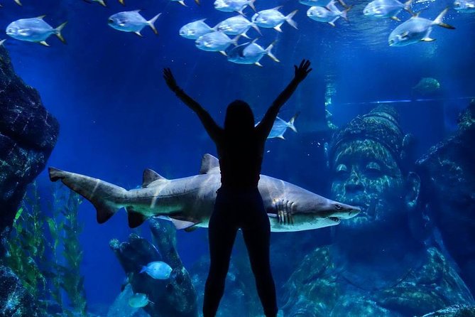 Sea Life Bangkok Ocean World Tickets - What to Expect Inside: Animals, Moments, and the Stuff Kids Talk About