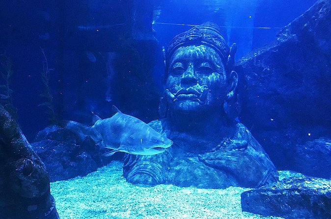 Sea Life Bangkok Ocean World Tickets - Accessibility and Comfort: A Practical Win